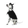 Witch Cape and Hat Witch Cape and Hat