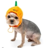 Jack O Hat Jack O Hat