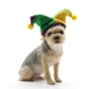 Joker Hat Joker Hat