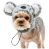 Koala Hat Koala Hat