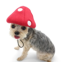 Mushroom Hat
