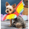 Rainbow Wings Rainbow Wings