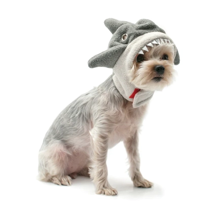 Shark Hat