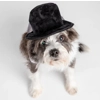 Black Velvet Top Hat Black Velvet Top Hat