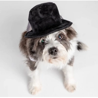 Black Velvet Top Hat