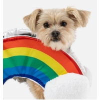 Rainbow Dog