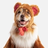 Teddy Bear Teddy Bear