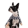 Bank Robber Bank Robber