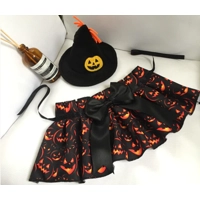 Halloween Pet Hat & Cloak Set