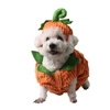 Pumpkin Pet Costume Pumpkin Pet Costume