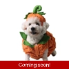 Pumpkin Pet Costume