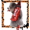 Rocket Costume Rocket Costume