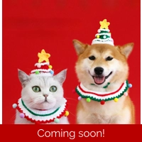 Christmas Knit Pet Hat & Collar Set