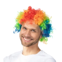 Rainbow Afro Wig