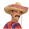 Grey Pancho Mustache Grey Pancho Mustache