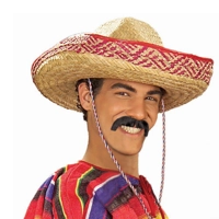 Grey Pancho Mustache