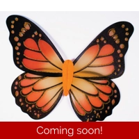 Monarch Butterfly Wings