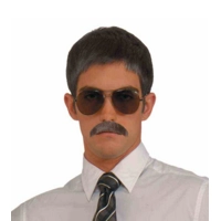 GENTLEMAN’S  MOUSTACHE -BLONDE