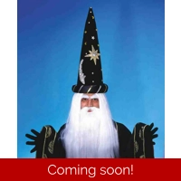 Merlin Wig and Beard Set