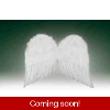 FEATHER WINGS 20. WHITE FEATHER WINGS 20. WHITE