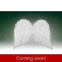 FEATHER WINGS 20. WHITE