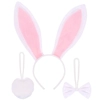 Bunny Accessory Kit Bunny Accessory Kit