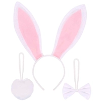 Bunny Accessory Kit