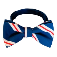The Trust Funder Bow Tie