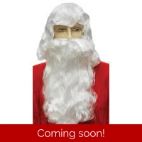 Economy Santa Wig and Beard Set