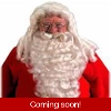 Majestic Santa Wig & Beard with Wired Mustache Majestic Santa Wig & Beard with Wired Mustache
