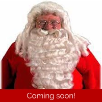Majestic Santa Wig & Beard with Wired Mustache