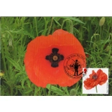 3626x4 Cross in Poppy Maximum Card 201..