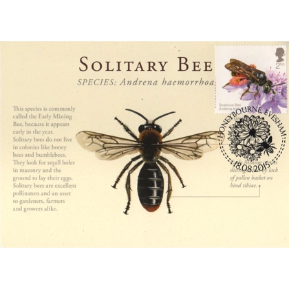 3737x British Bees 2nd class Solitary Bee maximum card