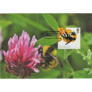 3738x2 British Bees 1st..