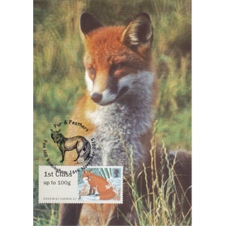 3777x1 Red Fox Maximum ..