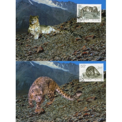 CH1 Snow Leopard maximum cards x 2 People's Rep of China