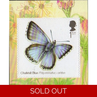 3509 Chalkhill Blue But..