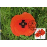 3626x1 Cross in Poppy Maximum Card 2014