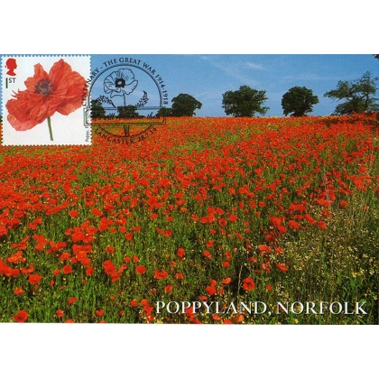3626x3 Poppyland Norfolk  Maximum Card 2014