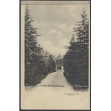 Mackinac Island, Mich. undivided back ..