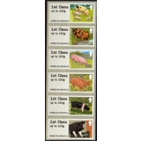 FS07h Pigs Faststamps set of 6 x 1st f..