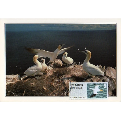 3224 Gannet maximum card