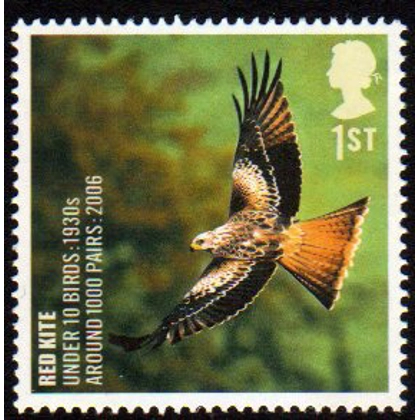 2766 Red Kite - Endangered Bird stamp mint