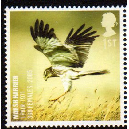 2768 Marsh Harrier - Endangered Bird stamp mint