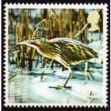 2770 Bittern - Endangered Bird stamp m..