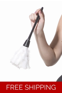 French Maid feather duster fancy dress costume French Maid feather duster fancy dress costume