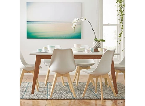 Modern Style Century DSW Chair