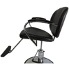Sleekish Classic Hydraulic Barber, Styling, MUA Salon Beauty Equipment Chair