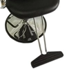 Sleekish Classic Hydraulic Barber, Styling, MUA Salon Beauty Equipment Chair