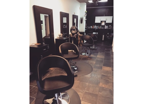 Modern Oval Styling Chair